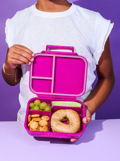 Itty Bitty Lunchbox in Purple