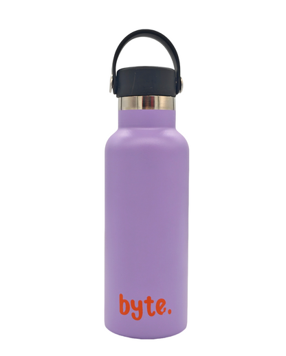 500ML Stainless Steel Water Flask - Purple