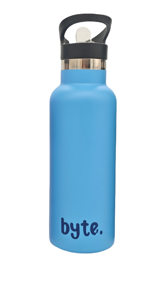 500ML Stainless Steel Water Flask - Blue