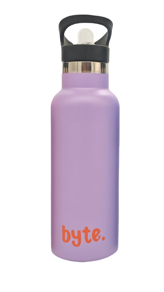 500ML Stainless Steel Water Flask - Purple